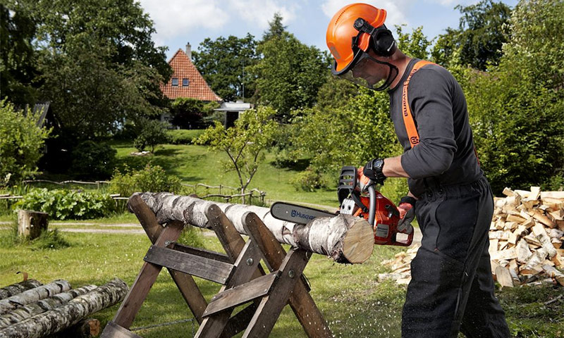 Kettensäge oder elektrische Säge - die besser zu bedienen ist