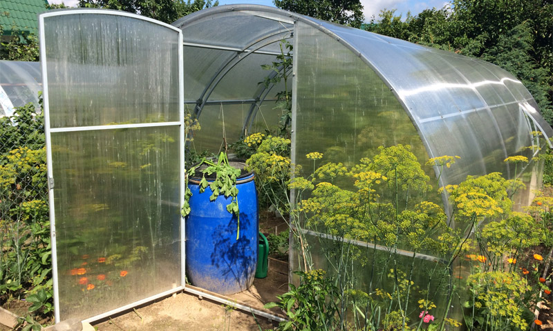 Polycarbonate greenhouses - how to choose the best option