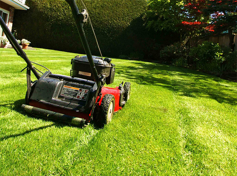 Wheel mower without grass catcher