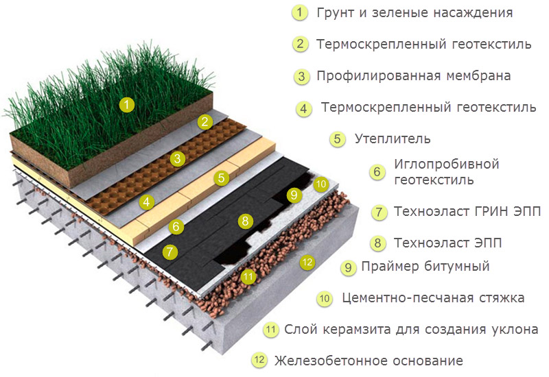 Green Roof Pie