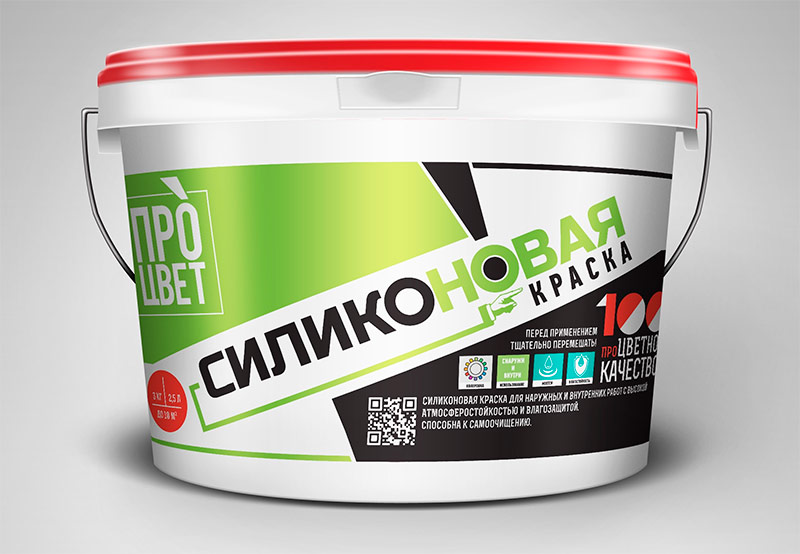 Peinture silicone