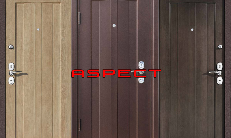 Entrance doors Aspect - reviews and opinions of visitors