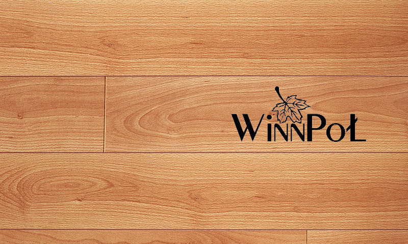 Recensioni di Winnpol in laminato