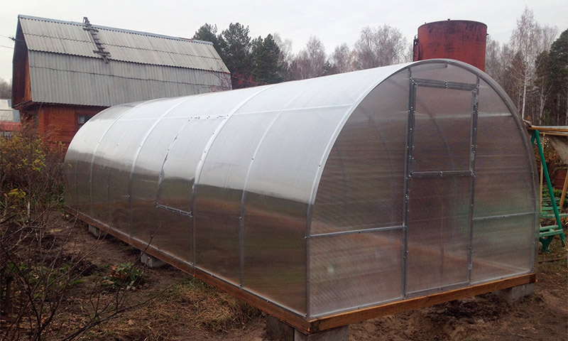 Greenhouse Dachnitsa - anmeldelser og vurderinger af dens anvendelse