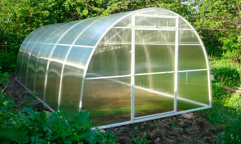 Greenhouse Kama - ความคิดเห็นและความคิดเห็นของผู้ปลูกผัก