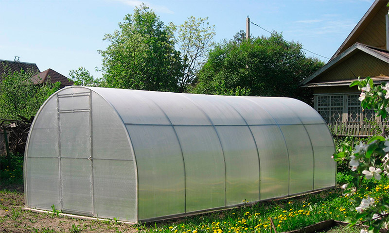 Greenhouse Siberian - beoordelingen van groentetelers