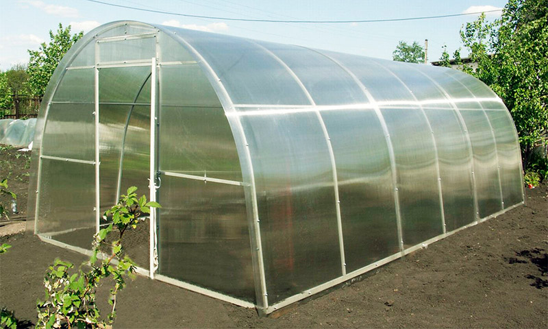 Greenhouse Uralochka - anmeldelser og anbefalinger for bruken