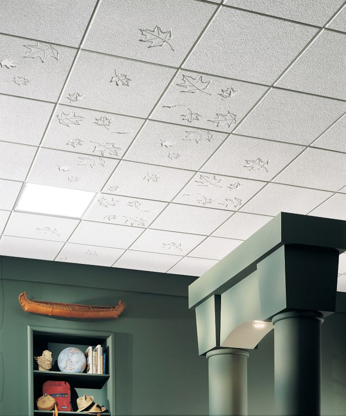 Designer Ceilings