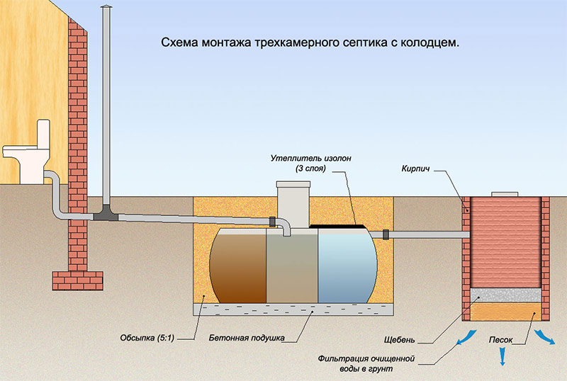 Dispositif de fosse septique avec dispositif de filtration