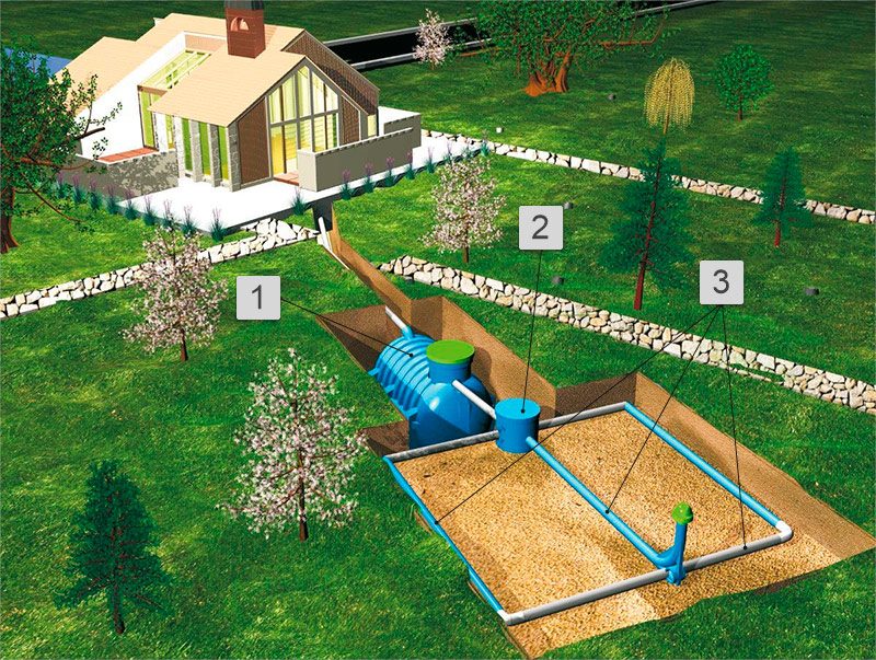 Septic tank device with a filtration field