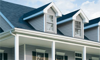 Vinyl Siding House