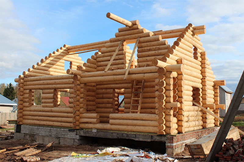 Log house