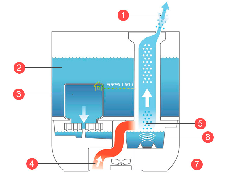 Ultrasonic humidifier device